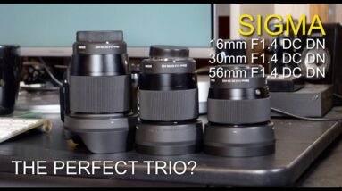 Three Sigma Primes - are these the perfect match for you?